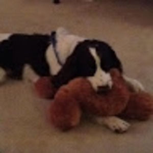 Meet your Posher, Maria